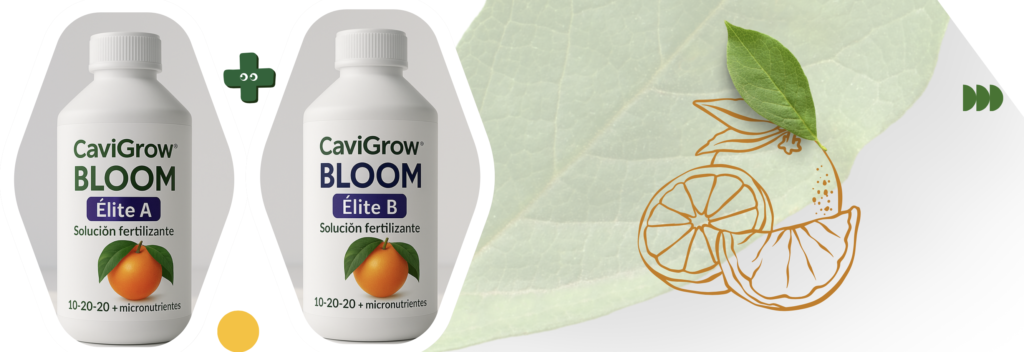 cavigrow elite citricos