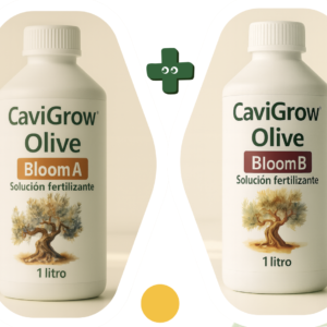 bloom olive (a+b)