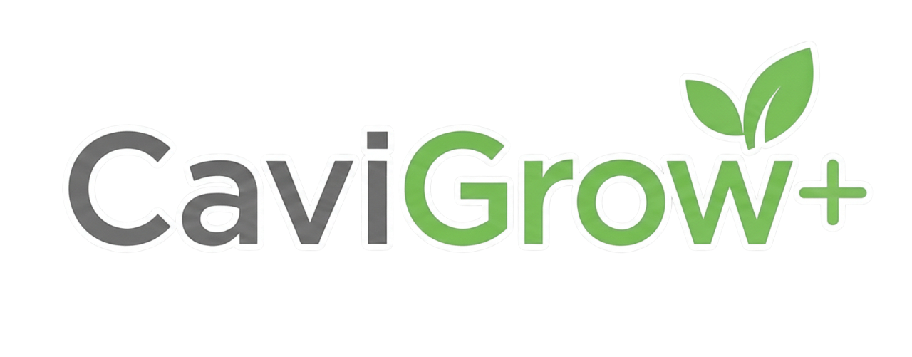 cavigrow logo no background top