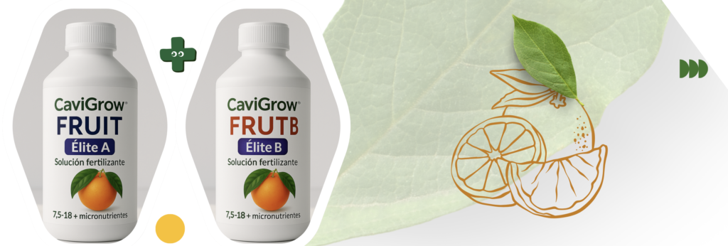 cavigrow elite citricos