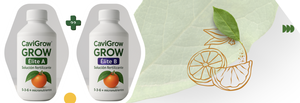 cavigrow elite citricos