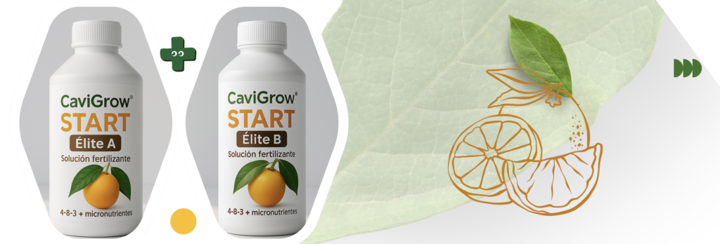 cavigrow elite citricos