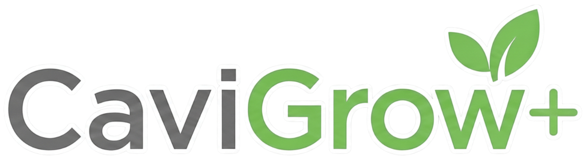 cavigrow logo no background top